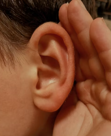 이명 치료 방법 증상 원인