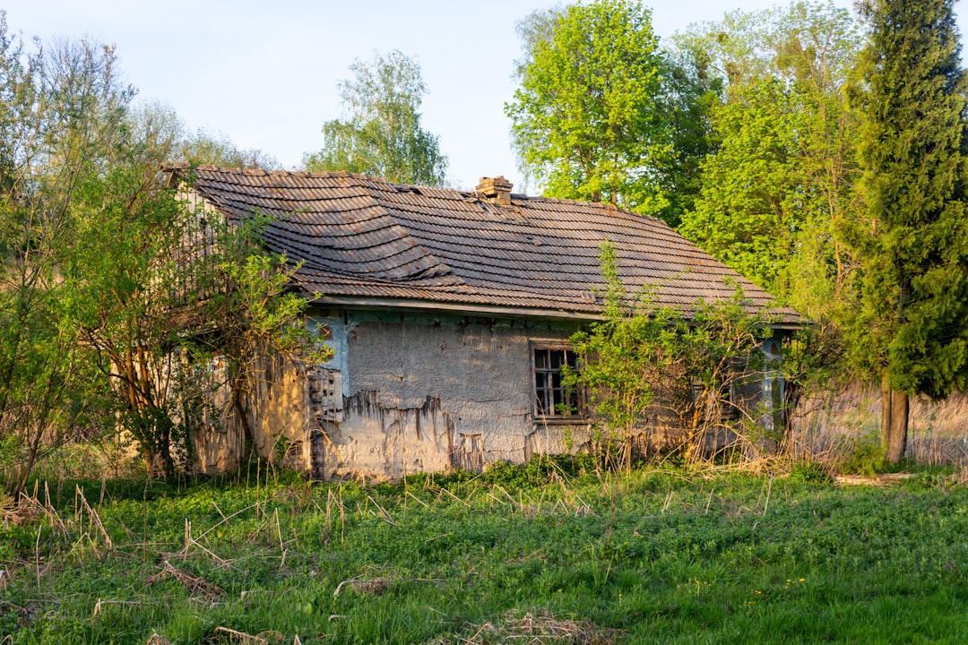 Property Tax
