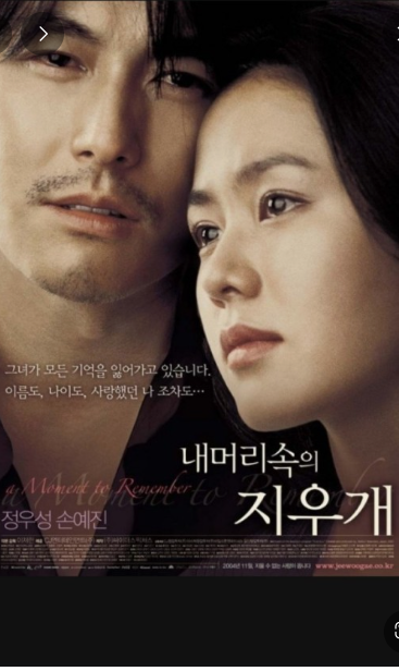 영화 내 머리 속의 지우개 사진