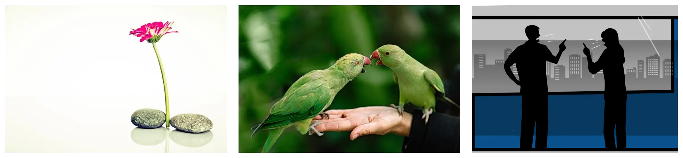 청년 월세 지원