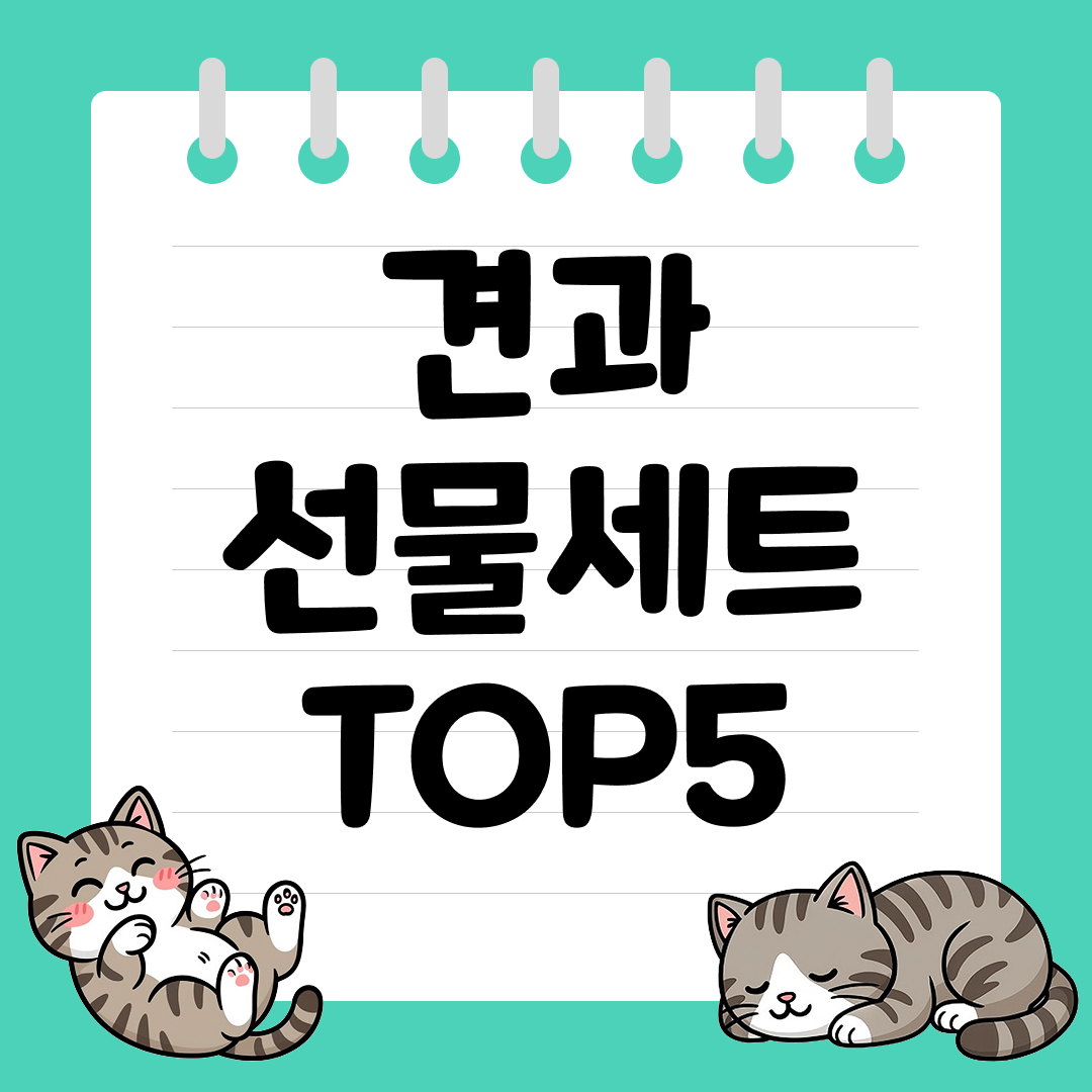 건강하고 실용적인 견과 선물세트 추천 순위 TOP5