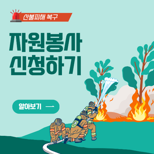 산불 자원봉사