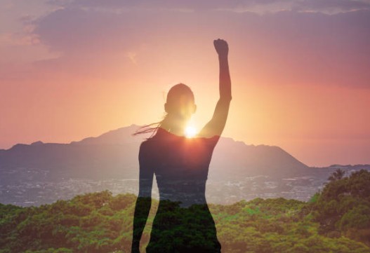 충주맨 김선태 사직 이유