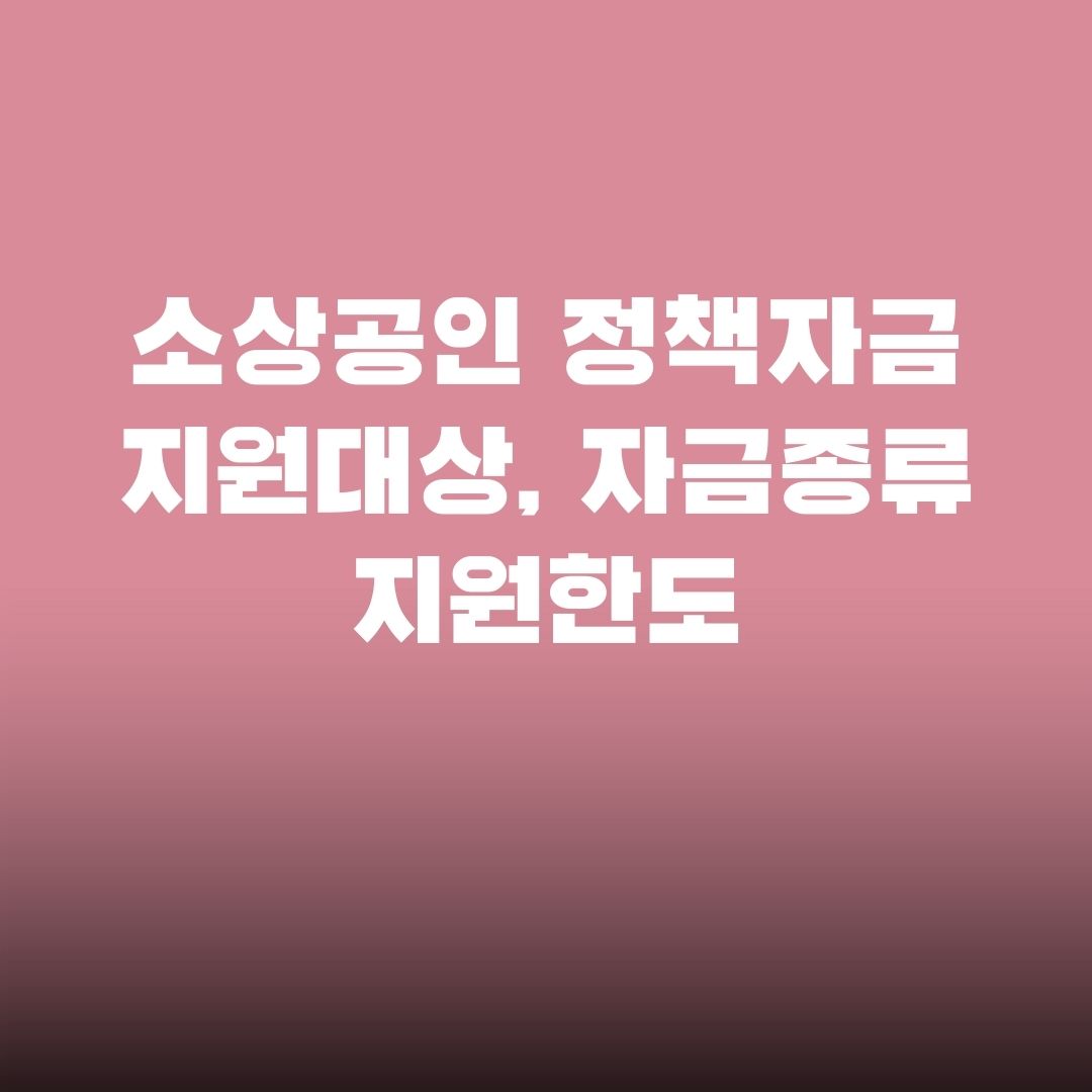 소상공인 정책자금 지원대상 자금종류와 한도