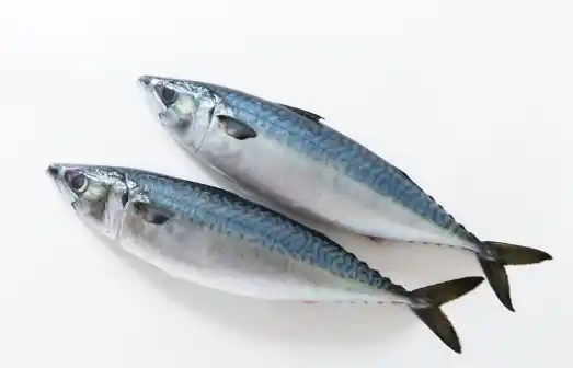 뇌경색 전조증상 및 치료 방법&amp;#44; 좋은 음식 알아보기