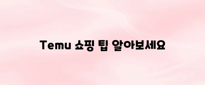 Temu 쇼핑몰 사이트｜쇼핑 방법