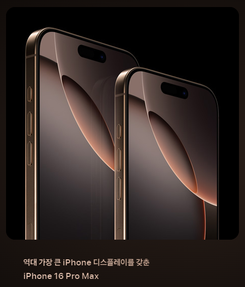 아이폰 16 프로 디스플레이