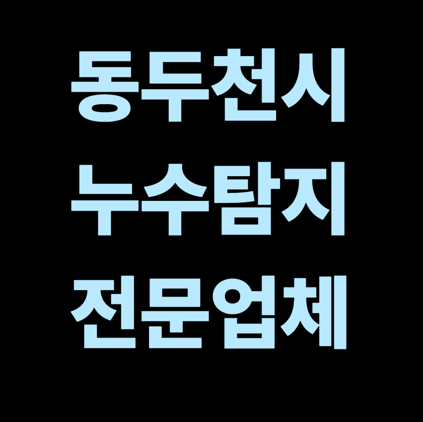 동두천시 누수탐지 전문업체