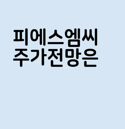 피에스엠씨