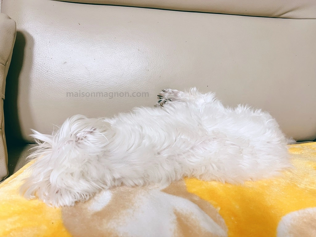 숙면