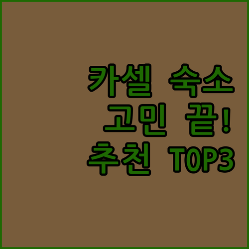 카셀 숙소 고민 끝! 2025년 추천..