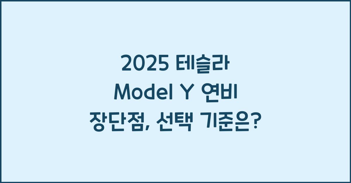2025 테슬라 Model Y 연비 장단점