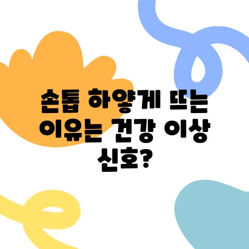 손톱 하얗게 뜨는 이유는 건강 이상 신호?