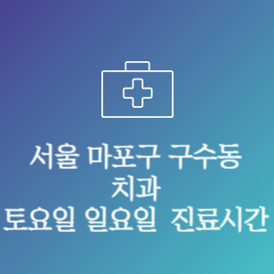 서울 마포구 구수동 치과 주말 토요일 일요일 문여는 병원 진료시간