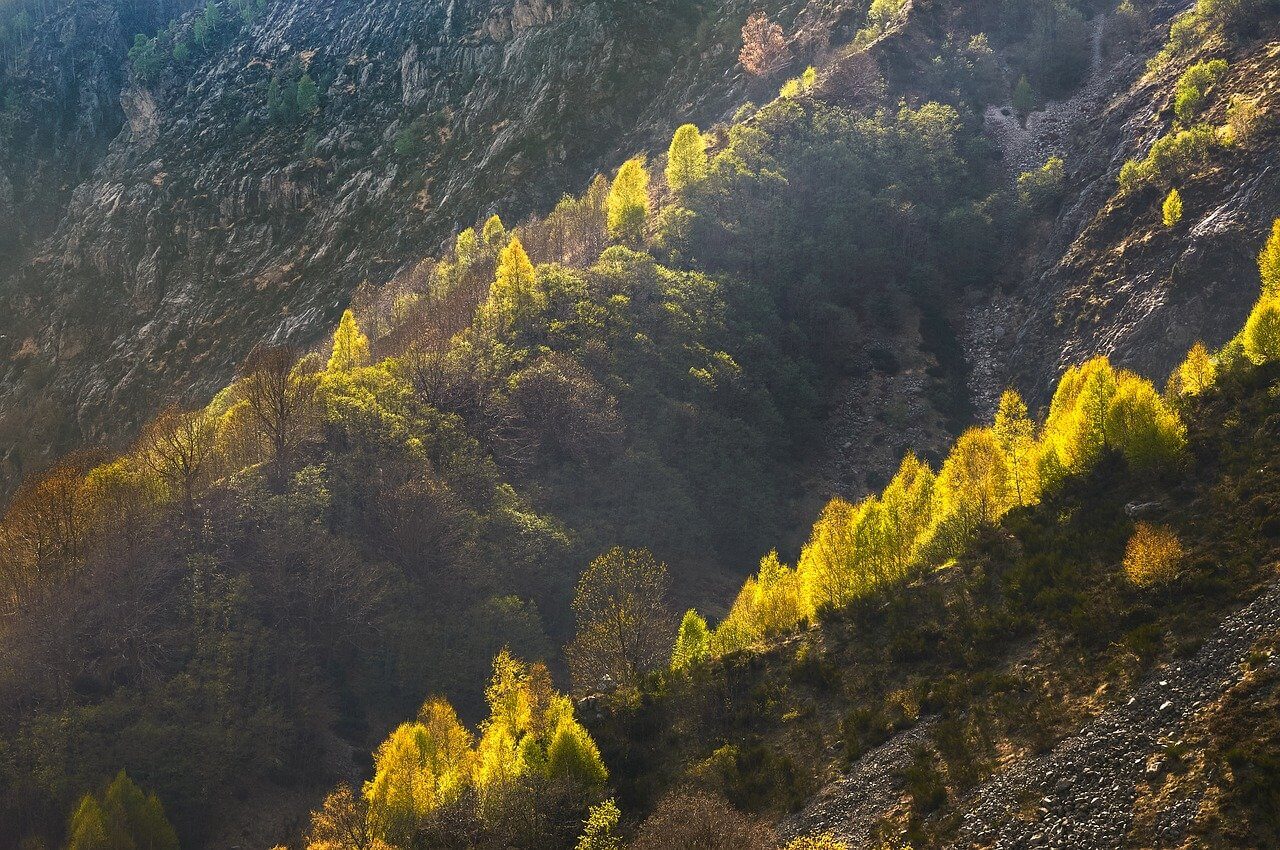 산림기능사 시험
