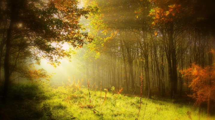 가을 저렴한 해외여행 SNS에서 뜨는 효율 만족여행 추천