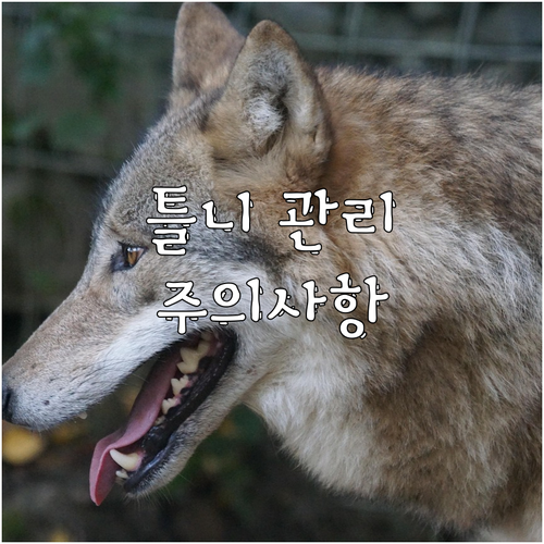 틀니 사용 전 꼭 알아야 할 주의사항