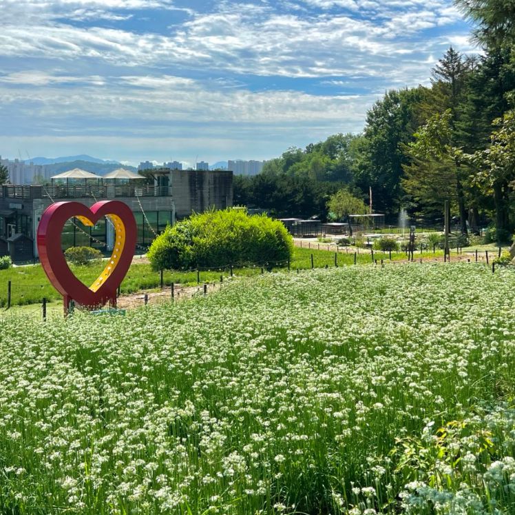 산들소리