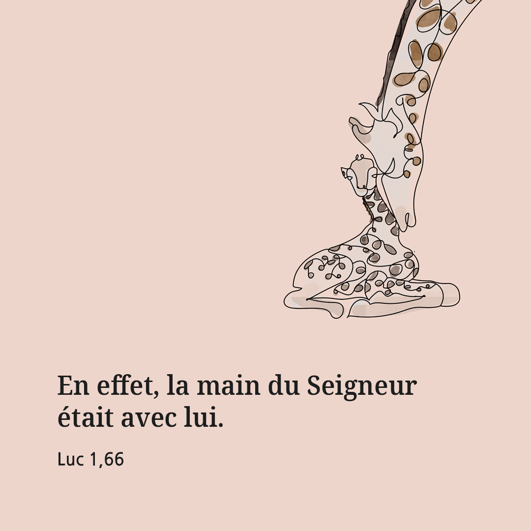 En effet, la main du Seigneur &eacute;tait avec lui. (Luc 1,66)