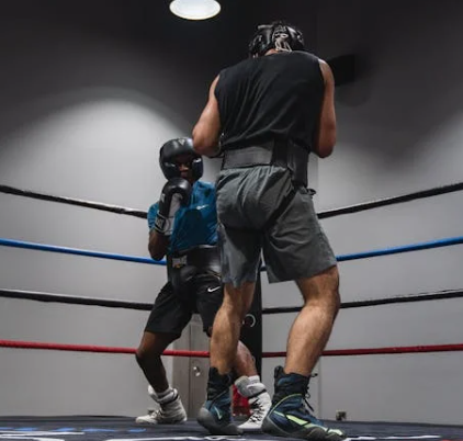 복싱 관련 사진