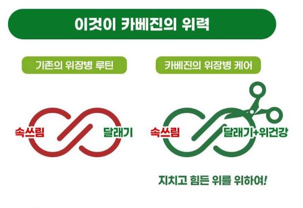 카베진-효능