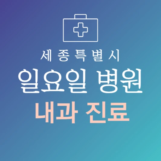 세종시-일요일-내과-문여는곳-주말에-진료하는-세종시-24시간-내과병원