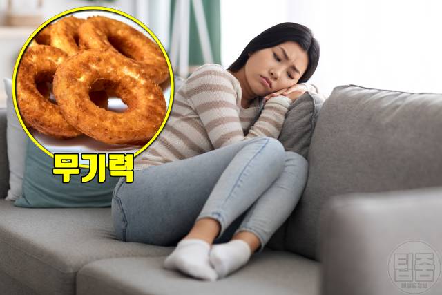 탄수화물 중독 증상 피곤함 탄수화물중독자가진단 치료법 극복