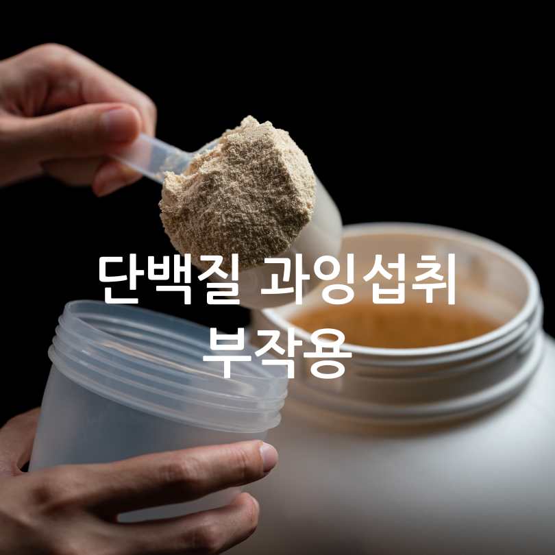 통풍과단백질보충제관계