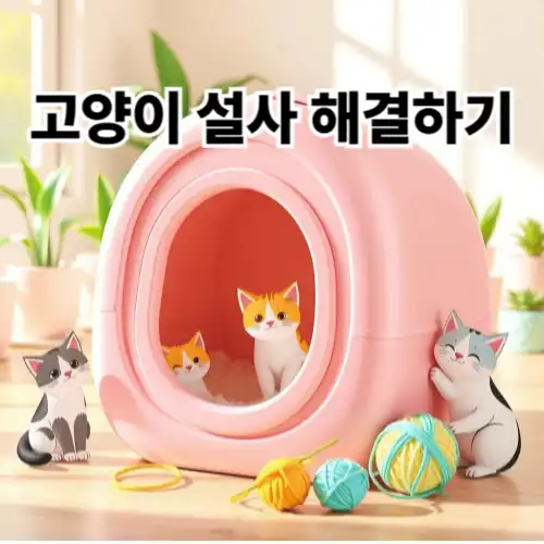 고양이 설사