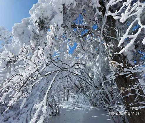 태백산