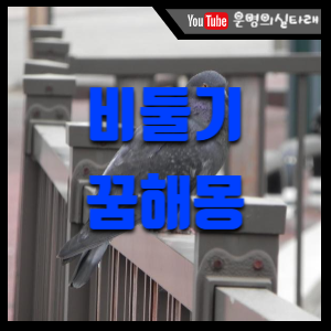 썸네일 사진