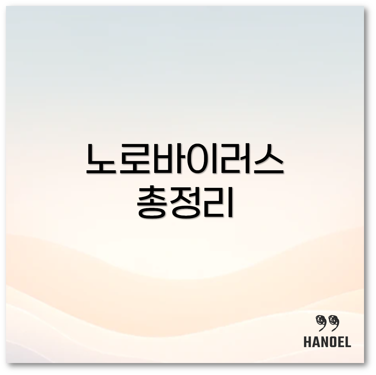 노로바이러스 1