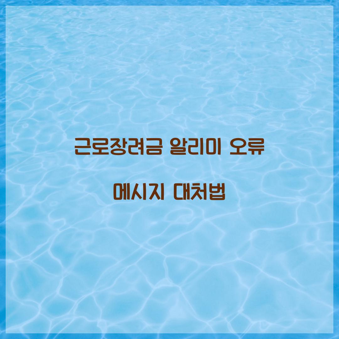 근로장려금 알리미 오류 메시지 대처법  