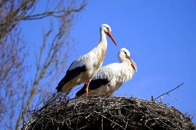 주광색 주백색 차이 비교 차이점_4
