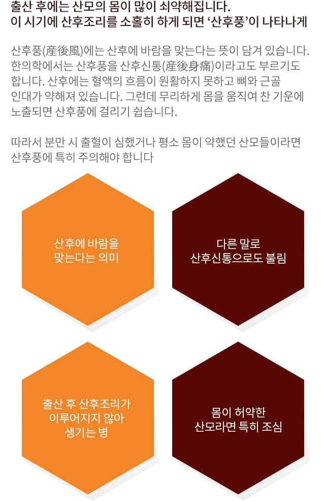 산후보약 체질 산후풍 예방 출산 후 회복 한방산후조리