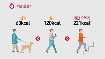 걷기 칼로리 계산기 걸음수 소비 칼로리_11