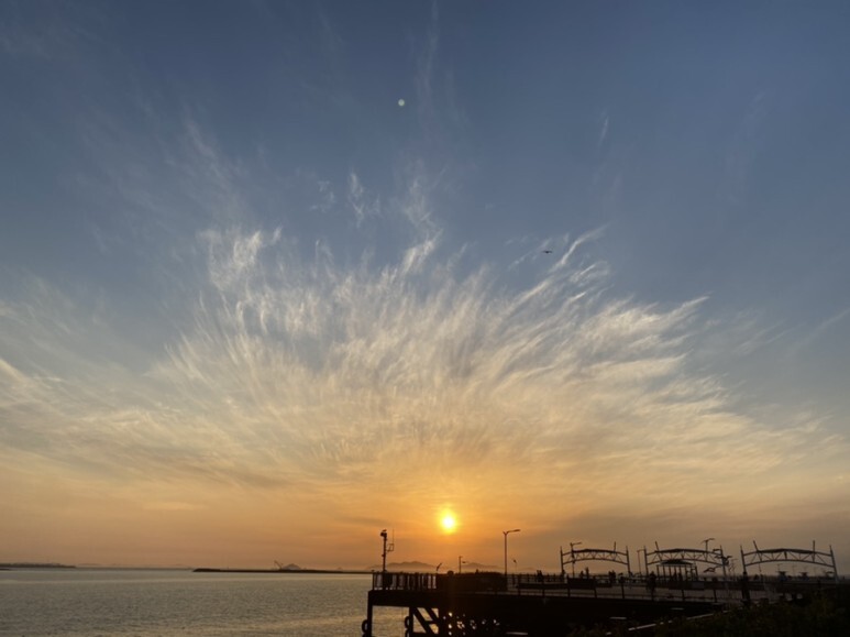 데일리룩(오뭘입)_ 아디다스 파이어버드 트랙탑, 무신사스탠다드 카고바지 블랙, 어커버 반팔, 오니즈타이거 멕시코, 남자코디, 남자스타일링, 벚꽃, 데일리패션, 데일리코디, ootd