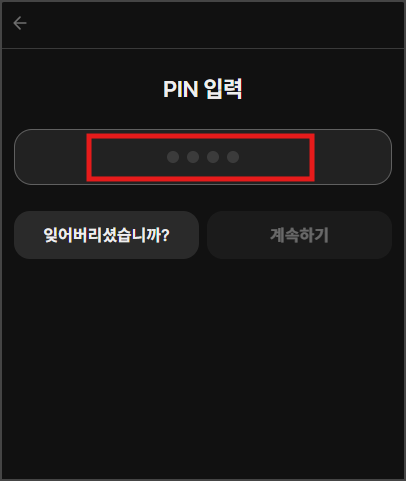 핀번호 입력하기