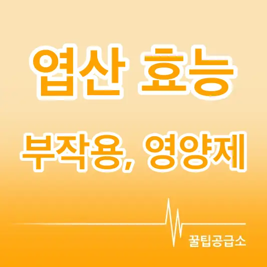 엽산 효능 부작용 영양제 로고