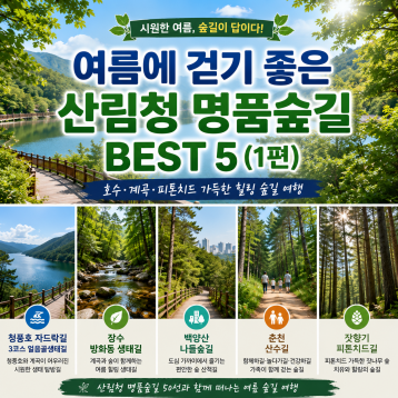 여름에 걷기 좋은 산림청 명품숲길 BEST 5 (1편)