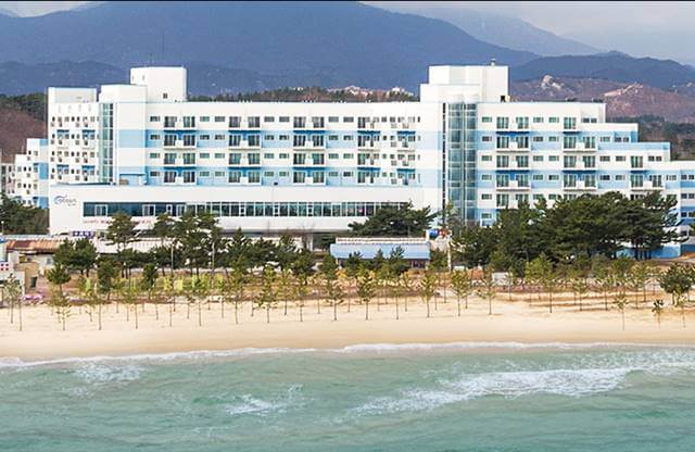 2023 새해 맞이 불꽃축제 추천 Top 3