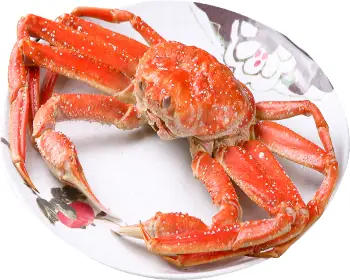 울진 대게축제_8