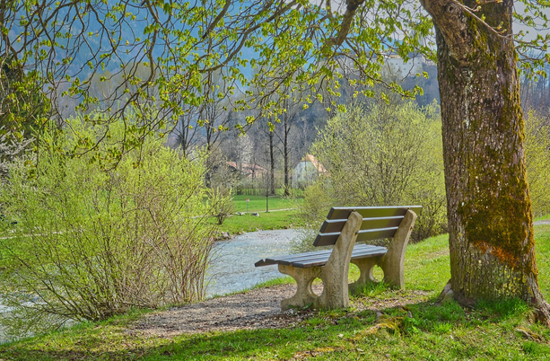 조용한 자리에 앉는다는 일 - 공원 벤치는 말이 없다