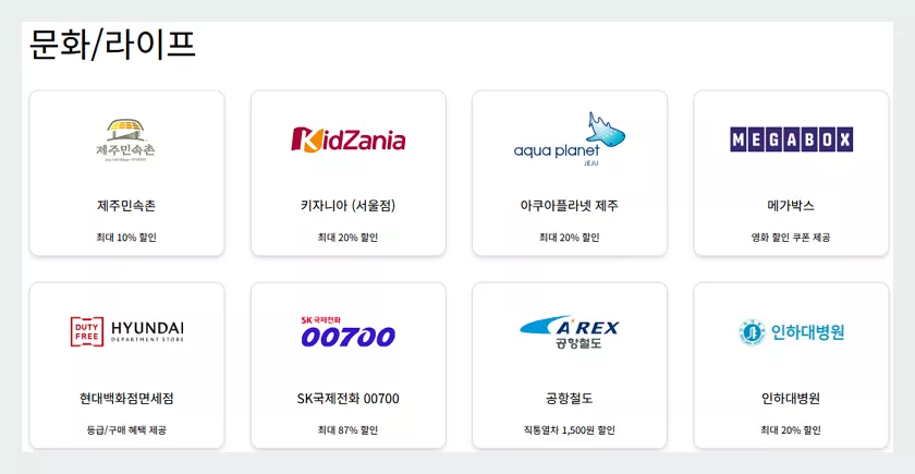 스카이패스 마일리지 문화 라이프 제휴사