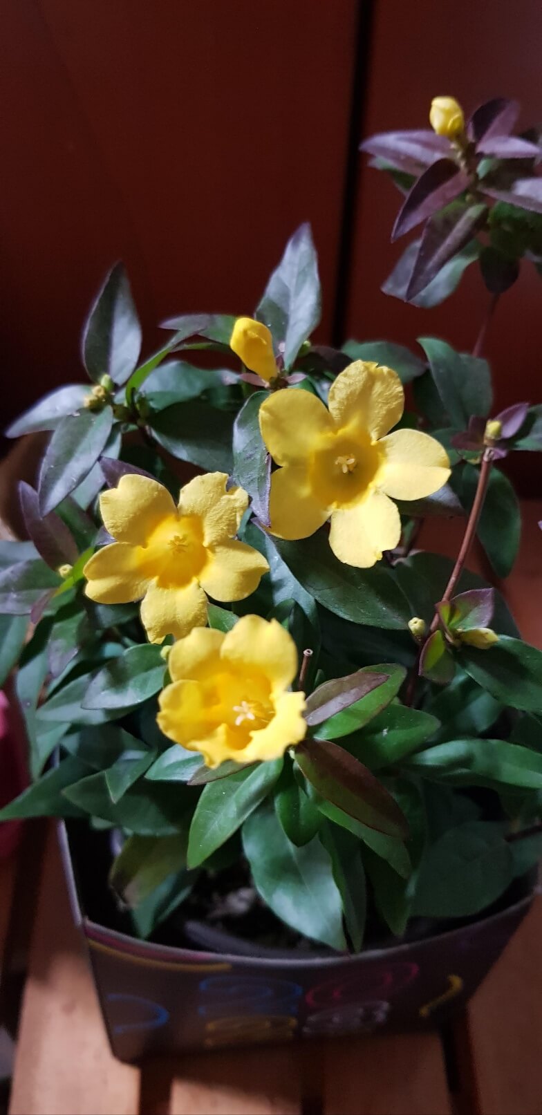 청년내일채움공제 신청 조건 총정리 - 2년 만에 1&amp;#44;200만 원 만드는 법 관련사진