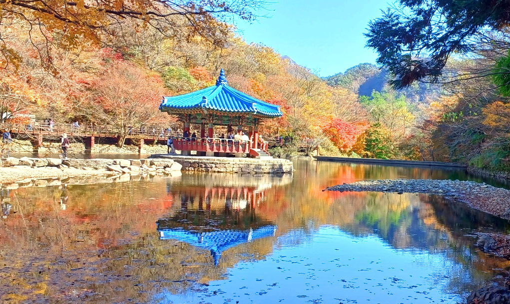 우화정
