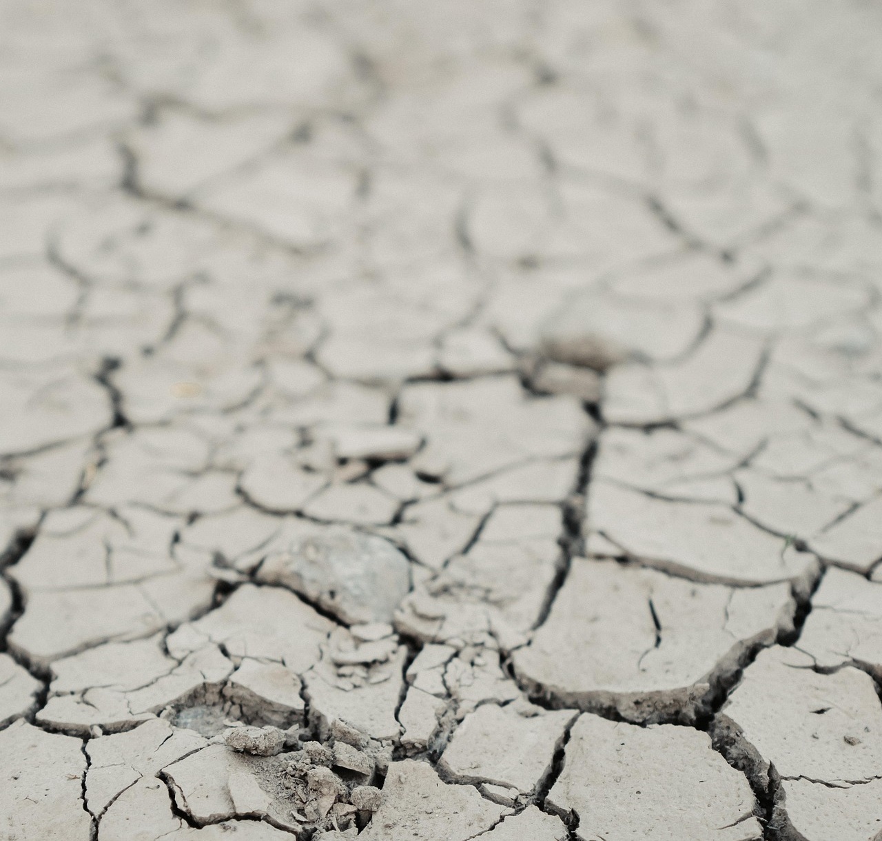 가뭄과 식량 위기는 왜 가장 먼저 &lsquo;물가&rsquo;를 무너뜨리는가!
