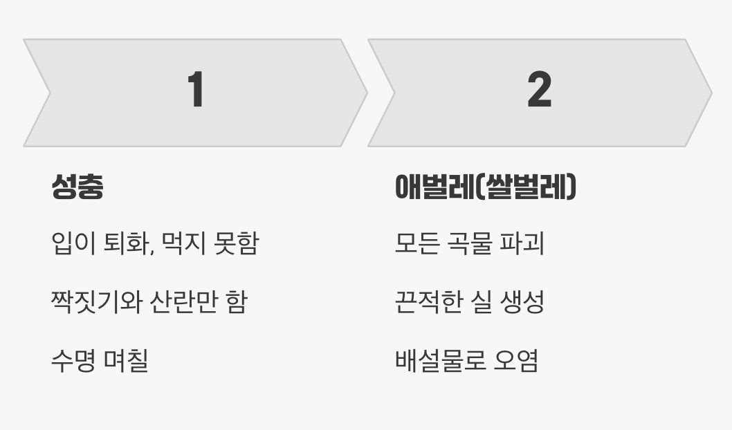 날아다니는 성충보다 무서운 것