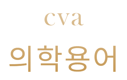 cva의학용어