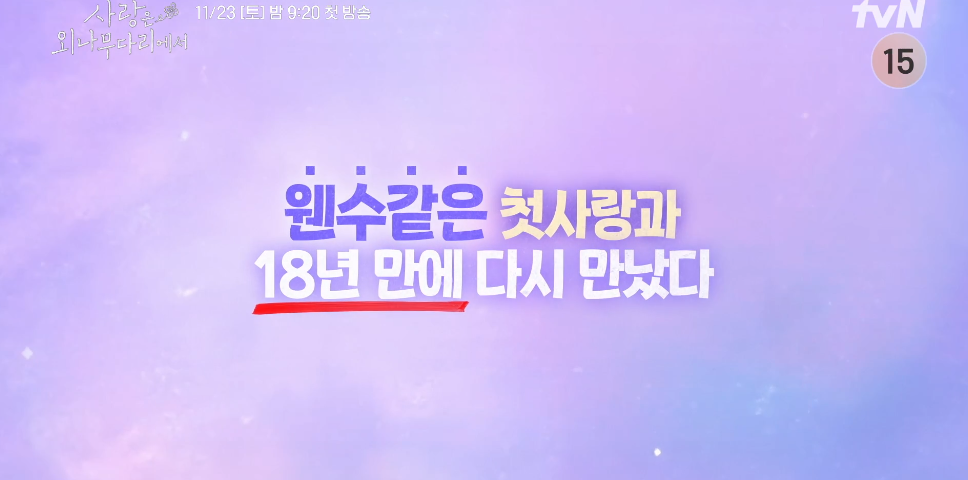 사랑은 외나무다리에서 : 중간 화면